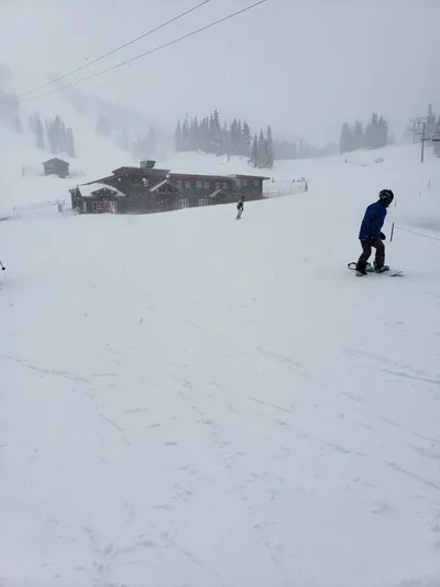 20190516_123025 (Large).jpg